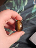 Tigers eye egg