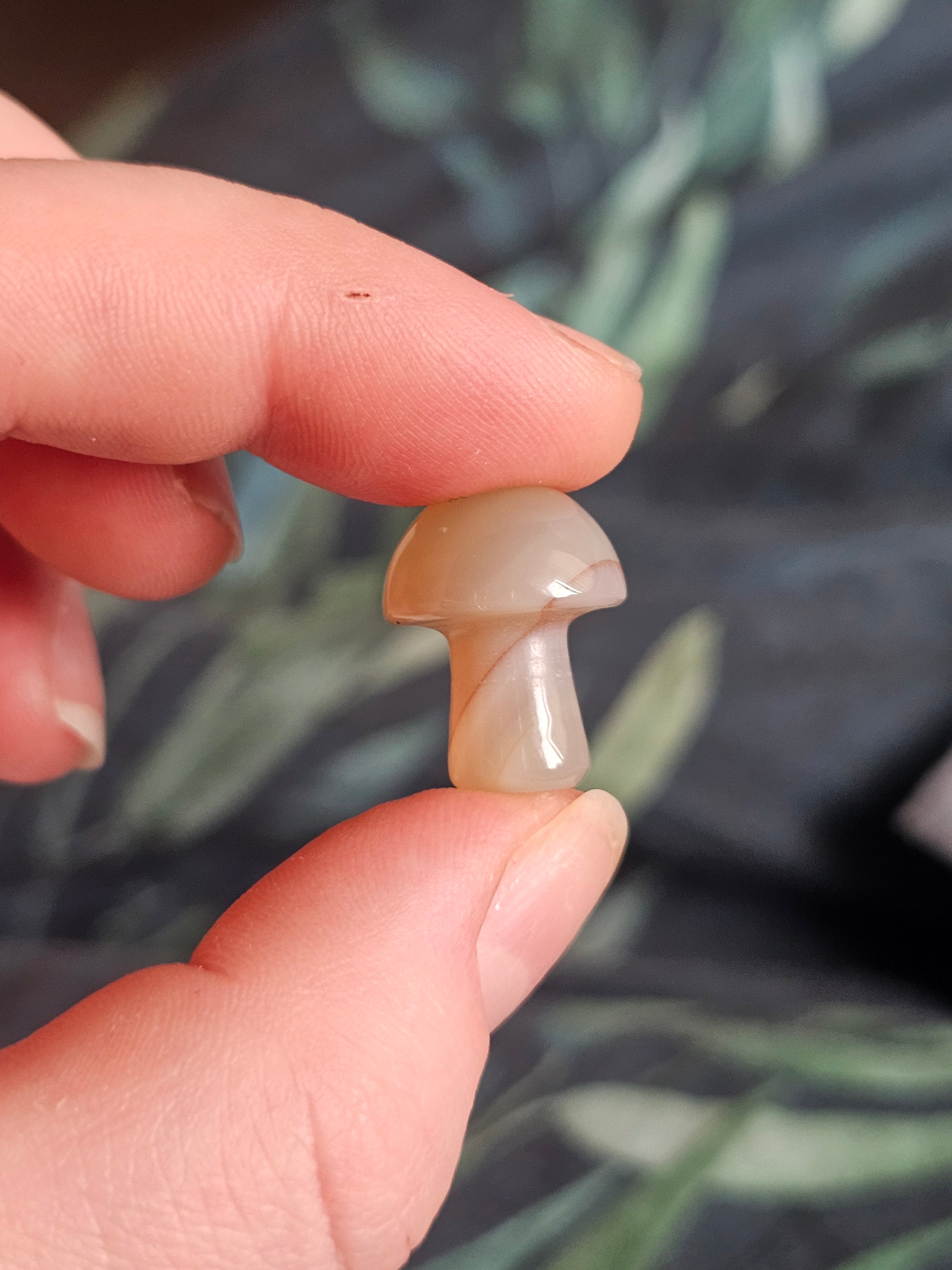 Mini mushrooms