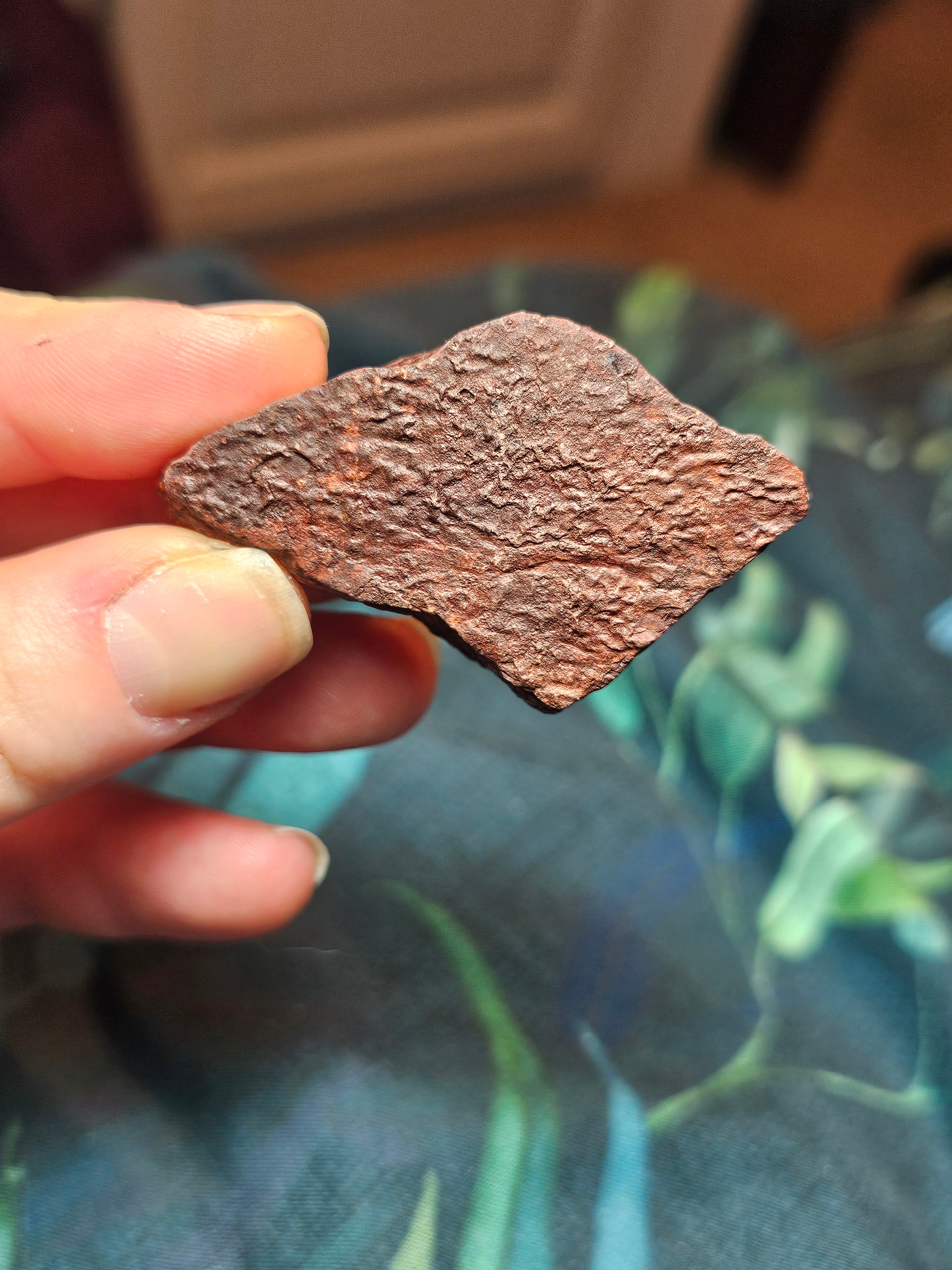 Raw red tigerseye